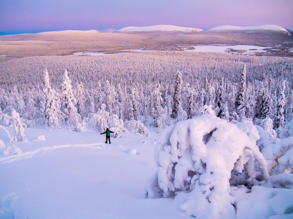 Yllaes Kanerva 108 Bagian luar foto