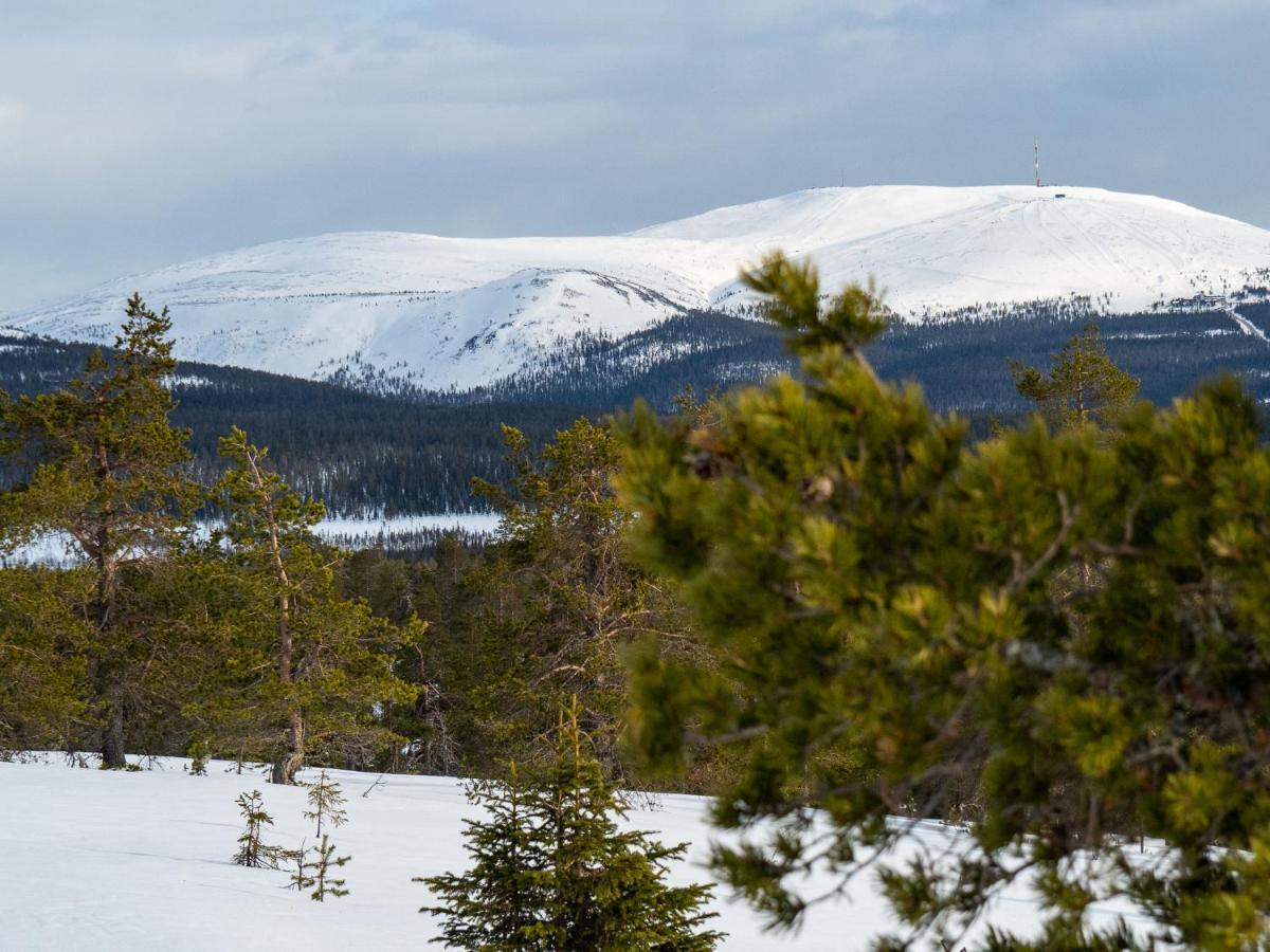 Yllaes Kanerva 108 Bagian luar foto