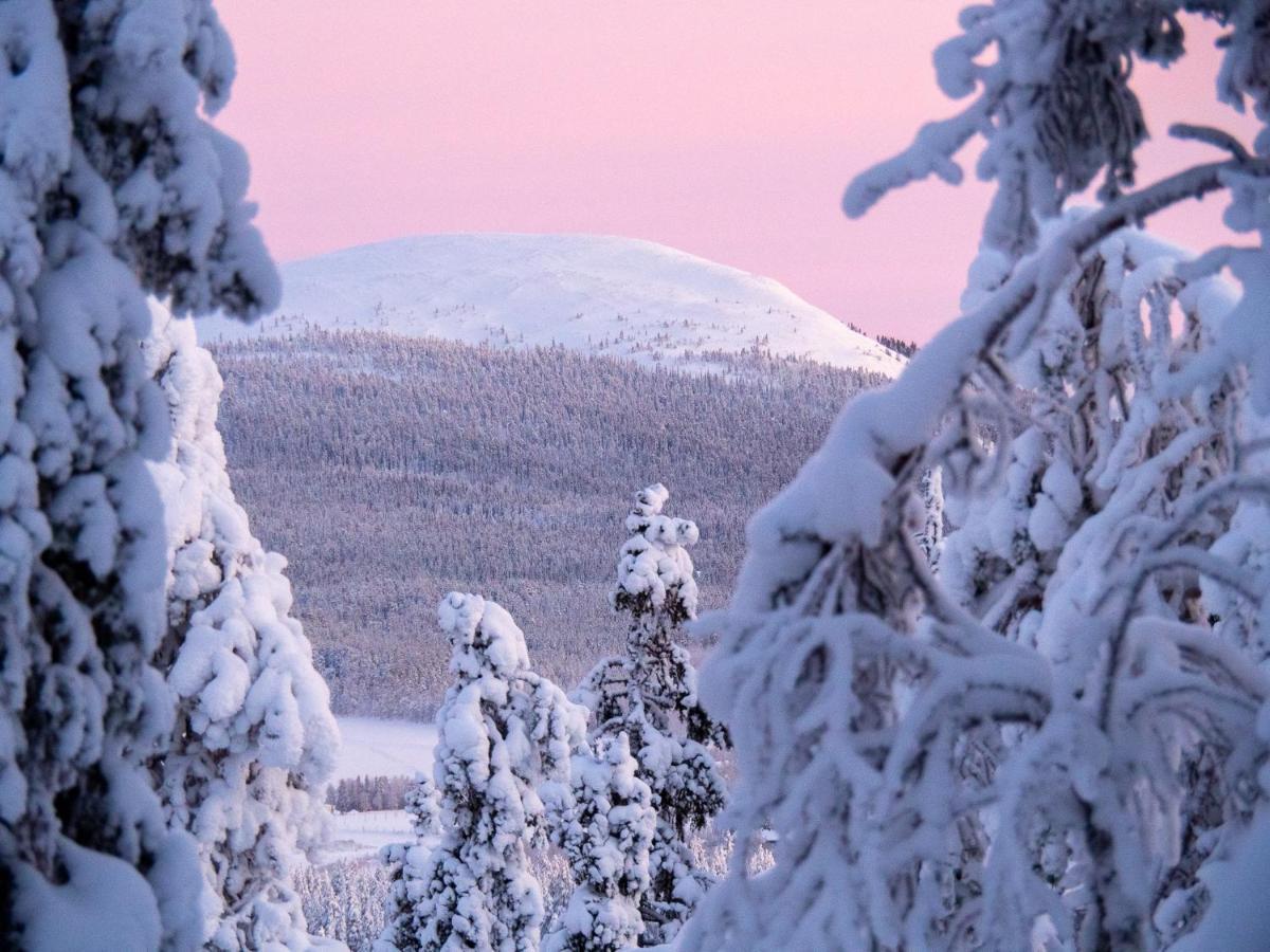 Yllaes Kanerva 108 Bagian luar foto